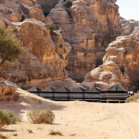 Ammarin Bedouin Camp Hotel Вади Муса Екстериор снимка