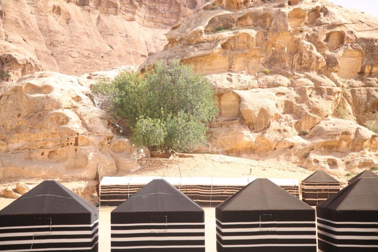 Ammarin Bedouin Camp Hotel Вади Муса Екстериор снимка